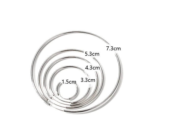 925 Sterling Silver Earrings